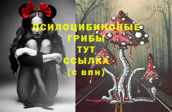 2c-b Беломорск