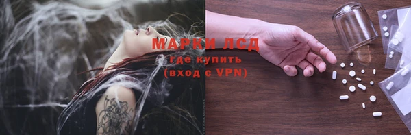 эйфоретик Белокуриха