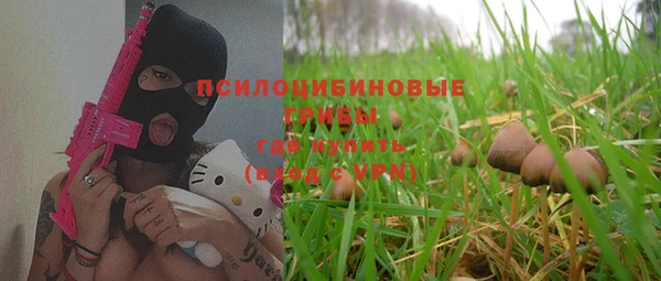 первитин Богородицк