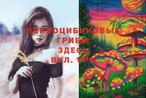 2c-b Беломорск